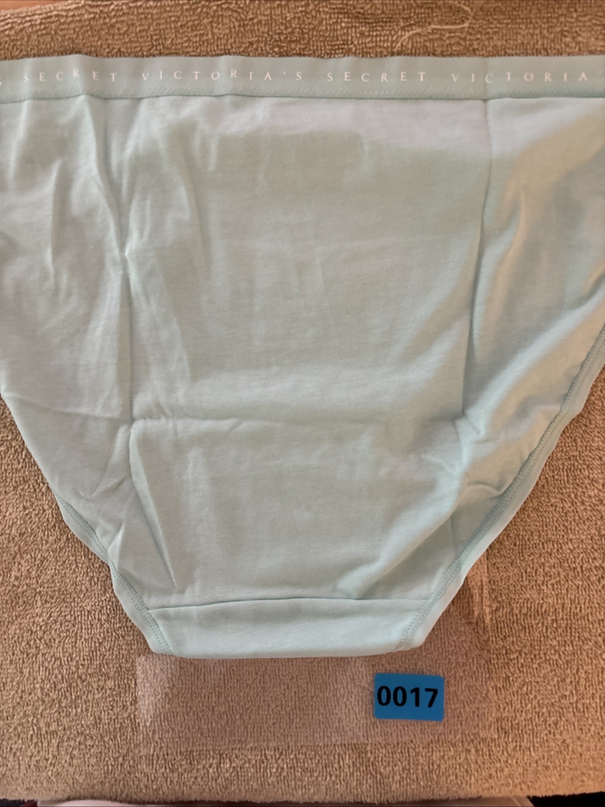 Victoria’s Secret XL Mint Green Cotton String Bikini Panty