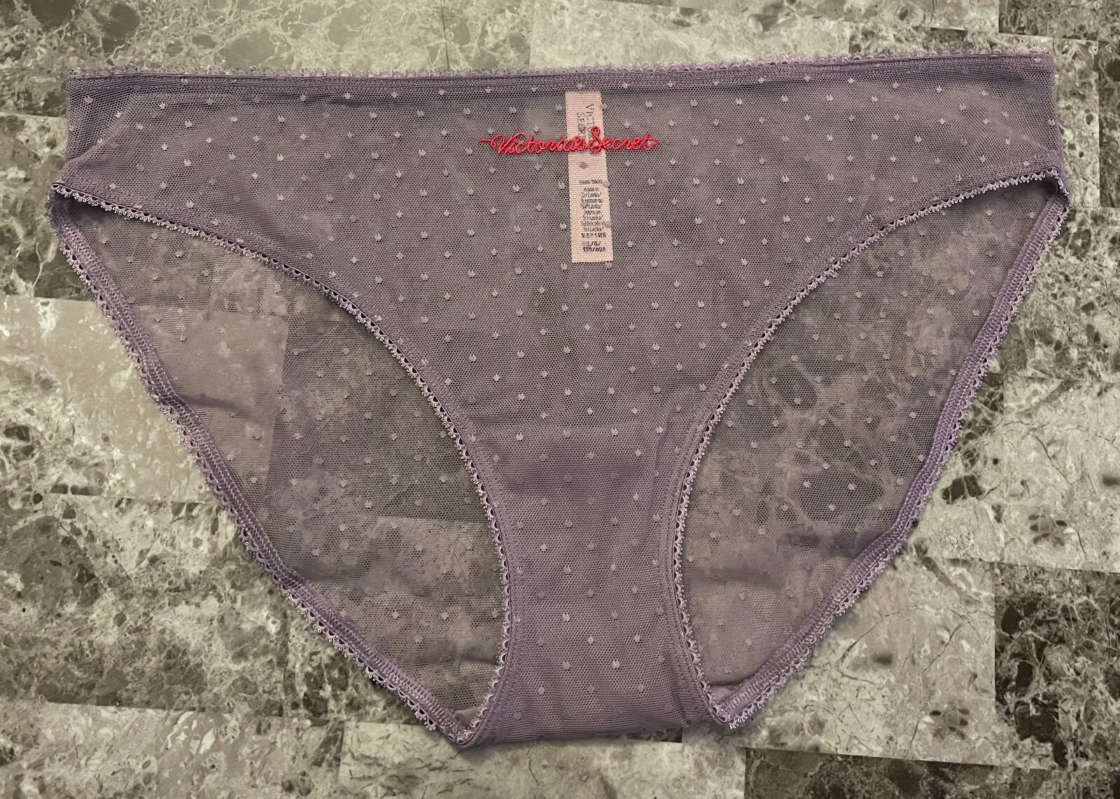 NWOT VICTORIA’S SECRET PURPLE DOTTED MESH EMBROIDERED RED LOGO BIKINI PANTIES