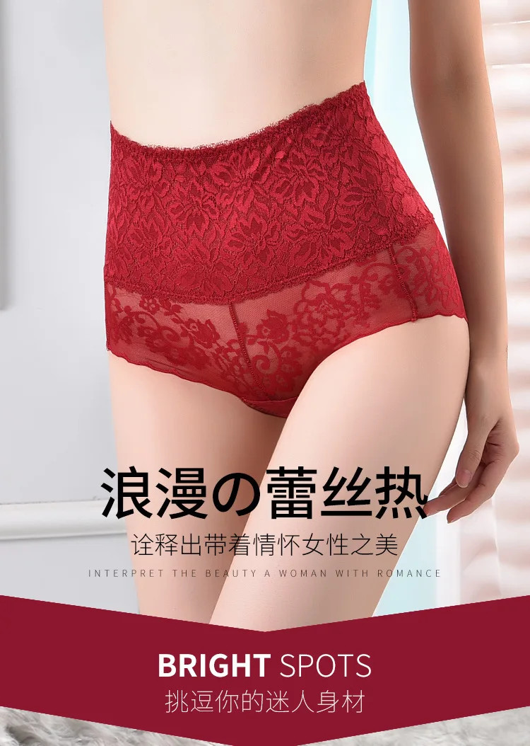 Lace Briefs Mid Rise Sheer Elastic Breathable Underwear Panties Women Soft