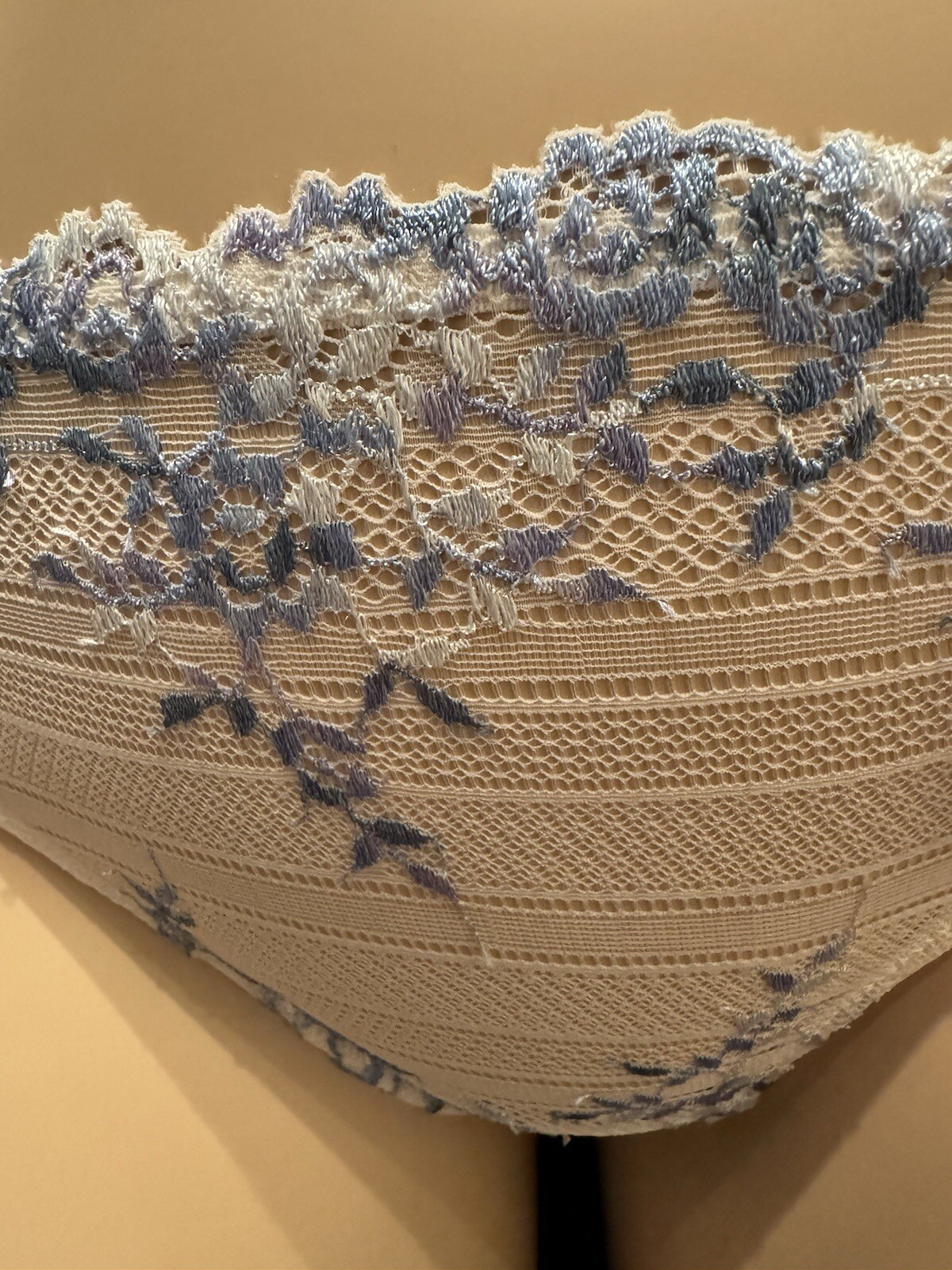 WACOAL 64391 PASTEL PARCHMENT BLUE MULTI Embrace Lace BIKINI Panties XL
