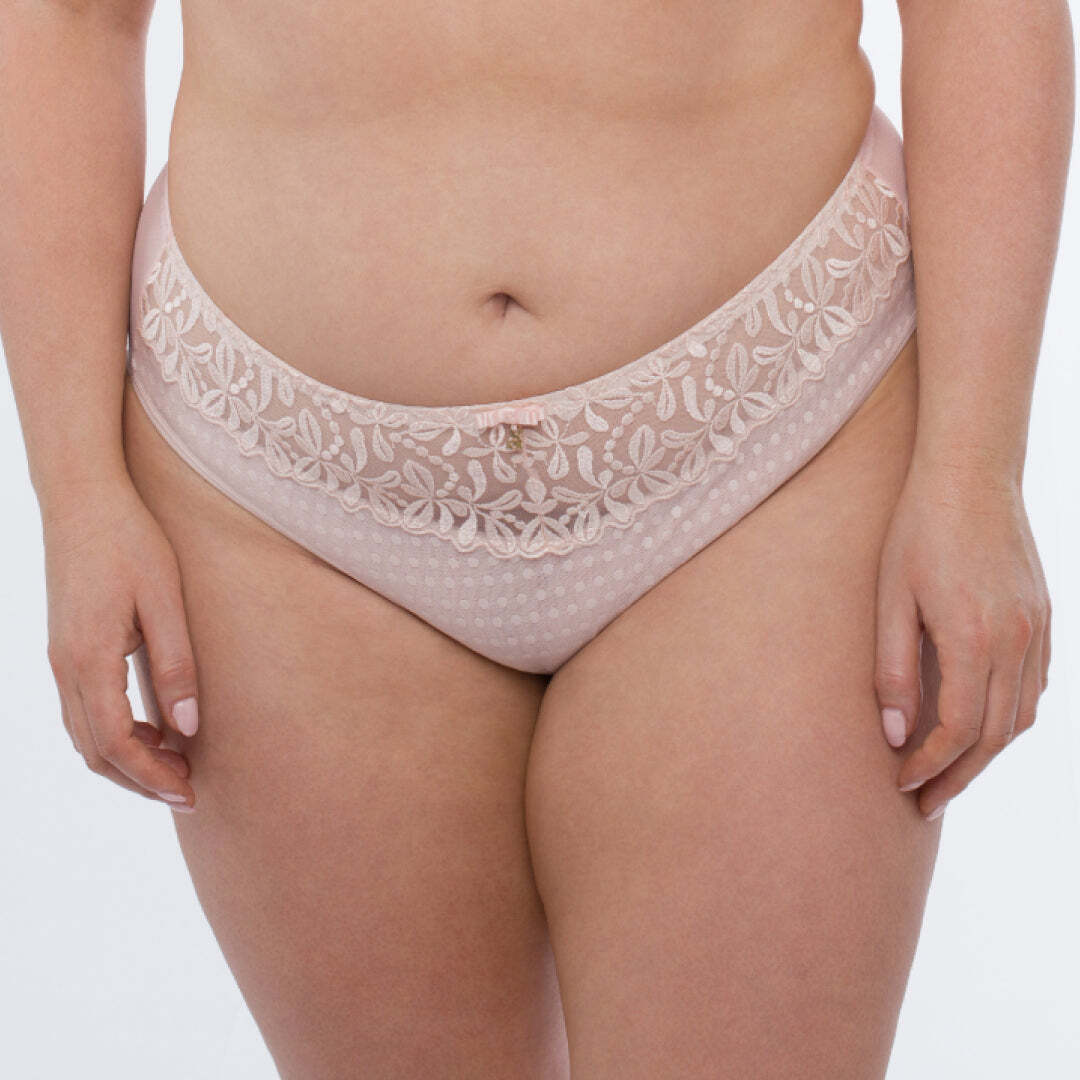 Samanta Donna Sheer Mesh Tulle Embroidered Brief Panty New Pink Lingerie B400