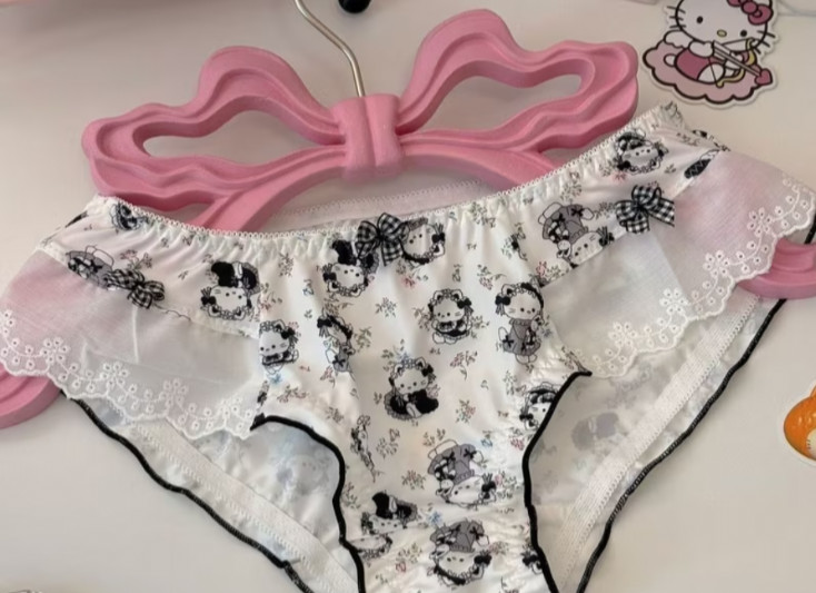 Sanrio Japanese Style Printed Women’s Hello Kitty Bikini Brief Panties L/XL