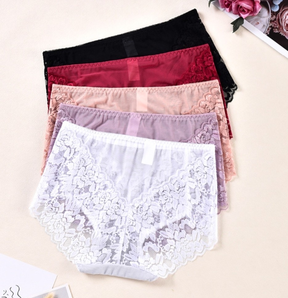 3 Pack Plus Size Lace Sheer Panties Mid Rise Briefs Double Layer Gusset Sexy