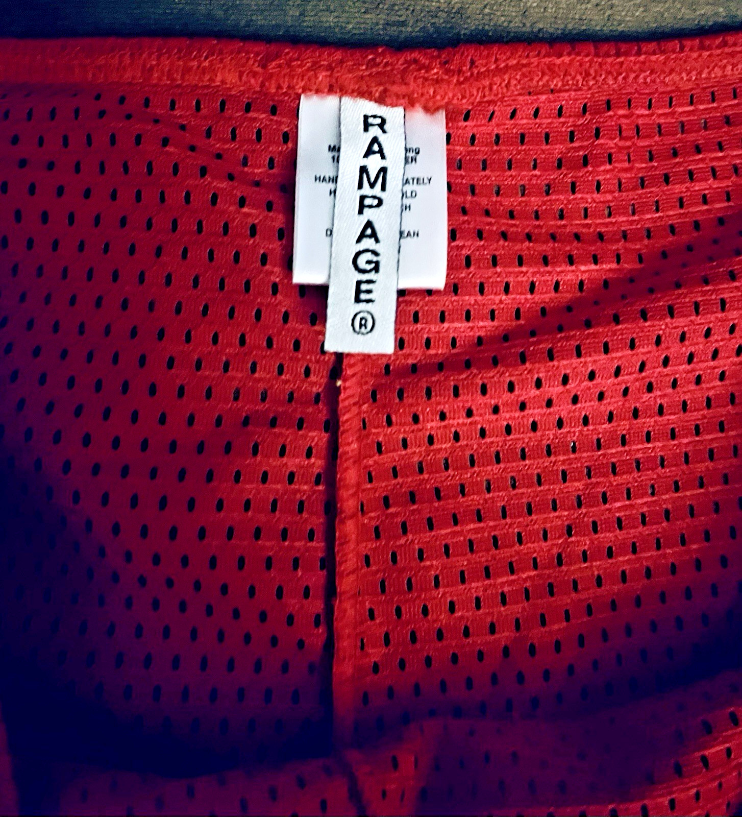 Y2K Rampage Sports Jersey Mesh Bikini Panties Underwear Size L Red