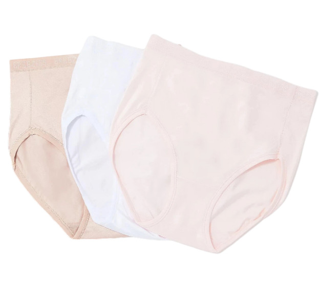 Breezies~Set of 3~Nylon Microfiber Hi-Cut Briefs~Small~A287800 12986