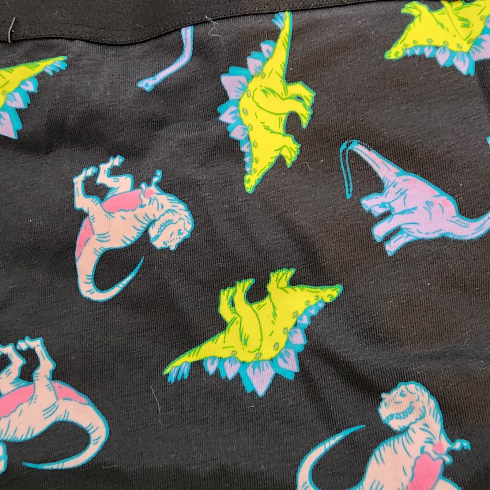 3X 22W 24W Torrid Black Dinosaur Cotton Cheeky Panty Mid Rise Pink T Rex Lingeri