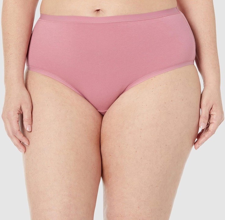 Amazon Essentials 4XL Plus Size Six Pack Neutral Cotton Midi Brief Panties NEW