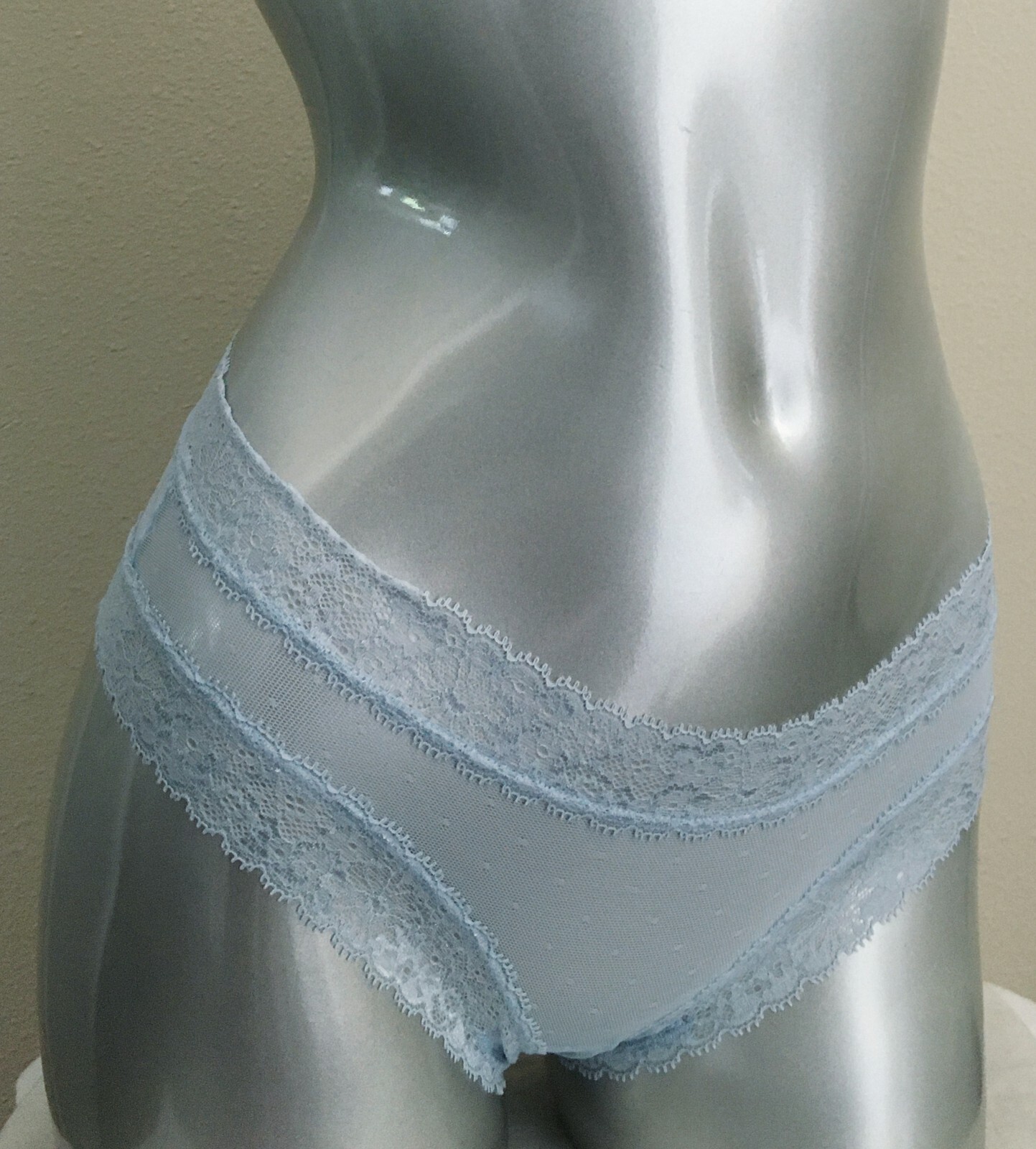 Nwt Victorias Secret The Lacie Floral Frenzy Cheeky Panty Light Blue XL