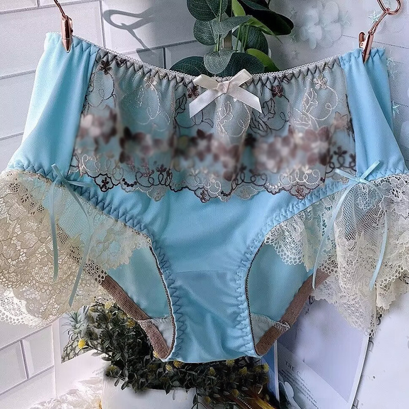 Princess Embroidery Panties Underpant Floral Bow Ruffles Briefs Knickers Lace