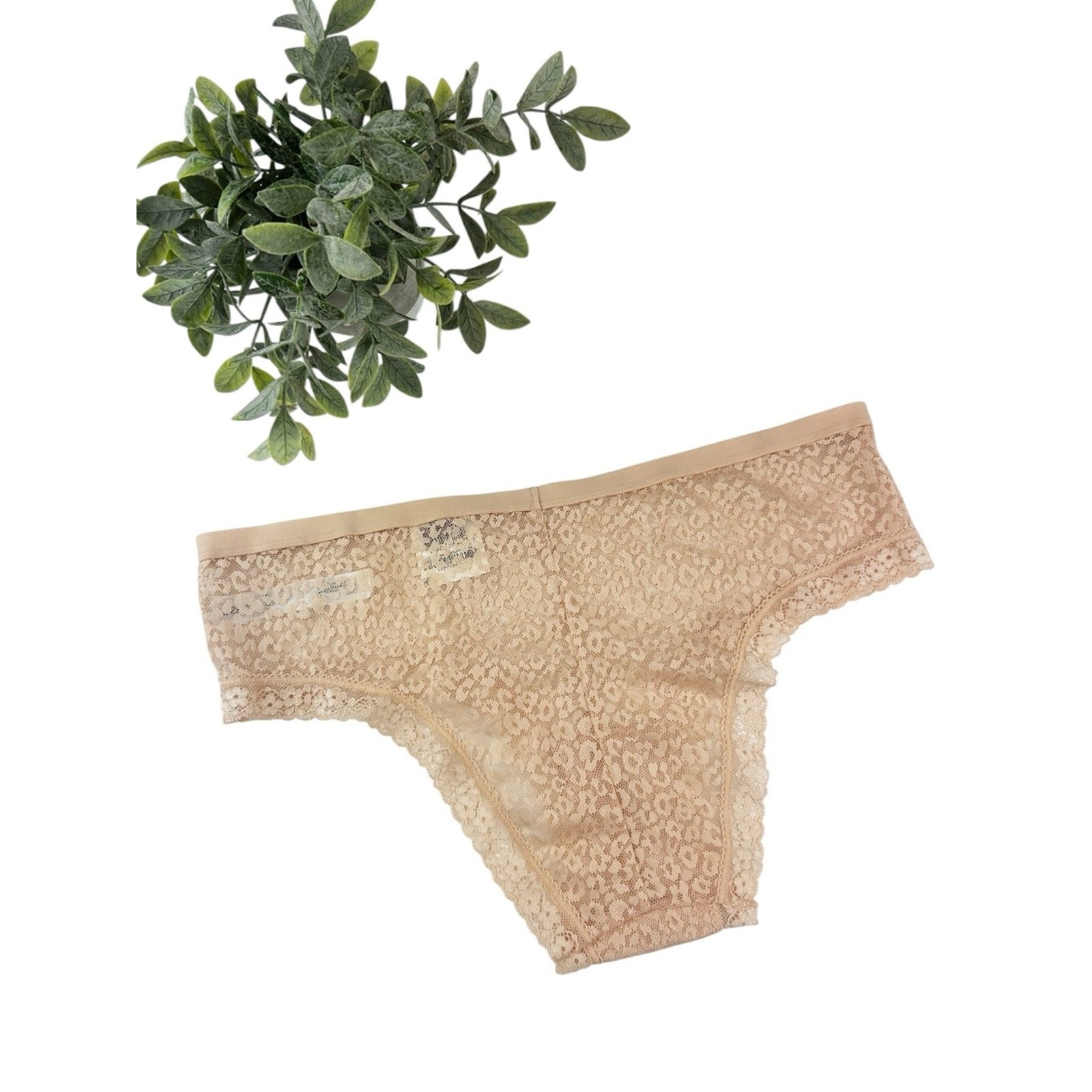 Jenni by Jennifer Moore Lace Bikini Panty in Nude Size Large