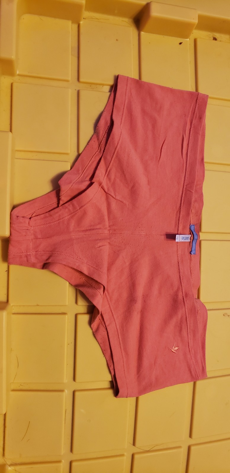 aerie panties large