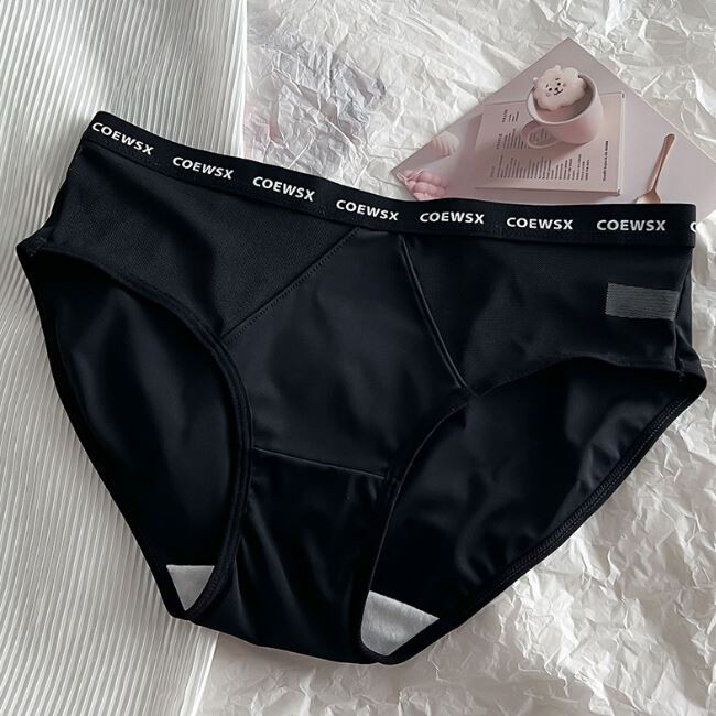 1/6 Pack Lot Womens Seamless Silky Panties Brief Sheer Nylon Underwear Lingeries