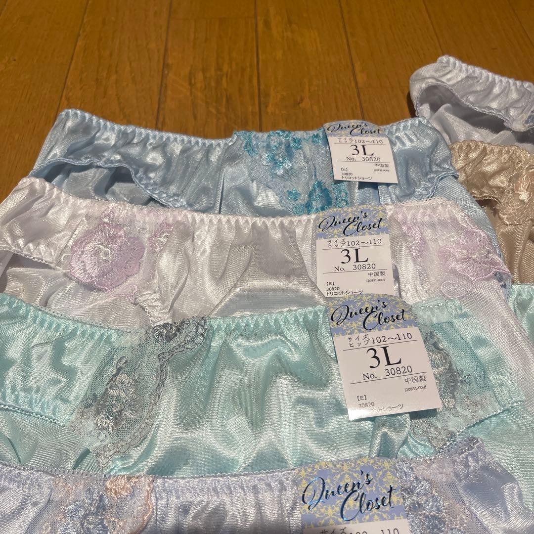 Japanese Glossy Nylon Panties Floral Lace Brief Set of 10 US size L-XL JP 3L
