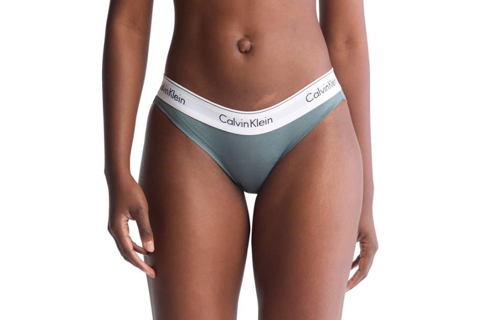 Calvin Klein Women’s Modern Cotton Bikini Underwear – Blue Performance, S, NWT.