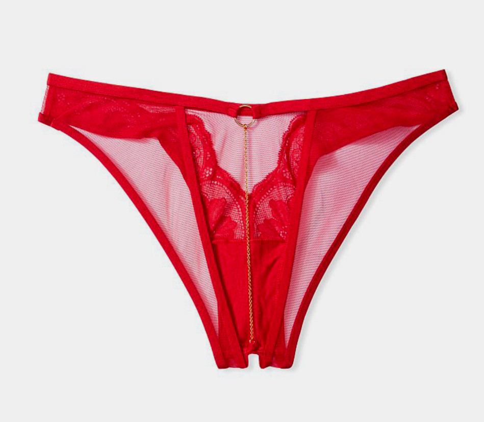 NWT Victoria’s Secret UNIQUE Chain Back Brazilian Panty ~ XL