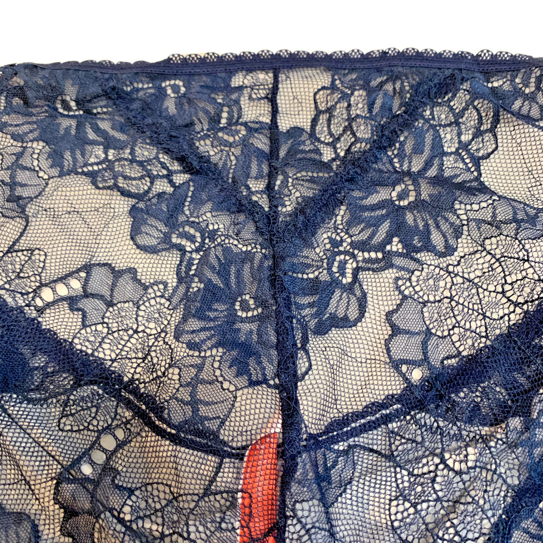 Splendies Sylvie Chic Lace Bikini Panties Size 4x Floral Lingerie Underwear New