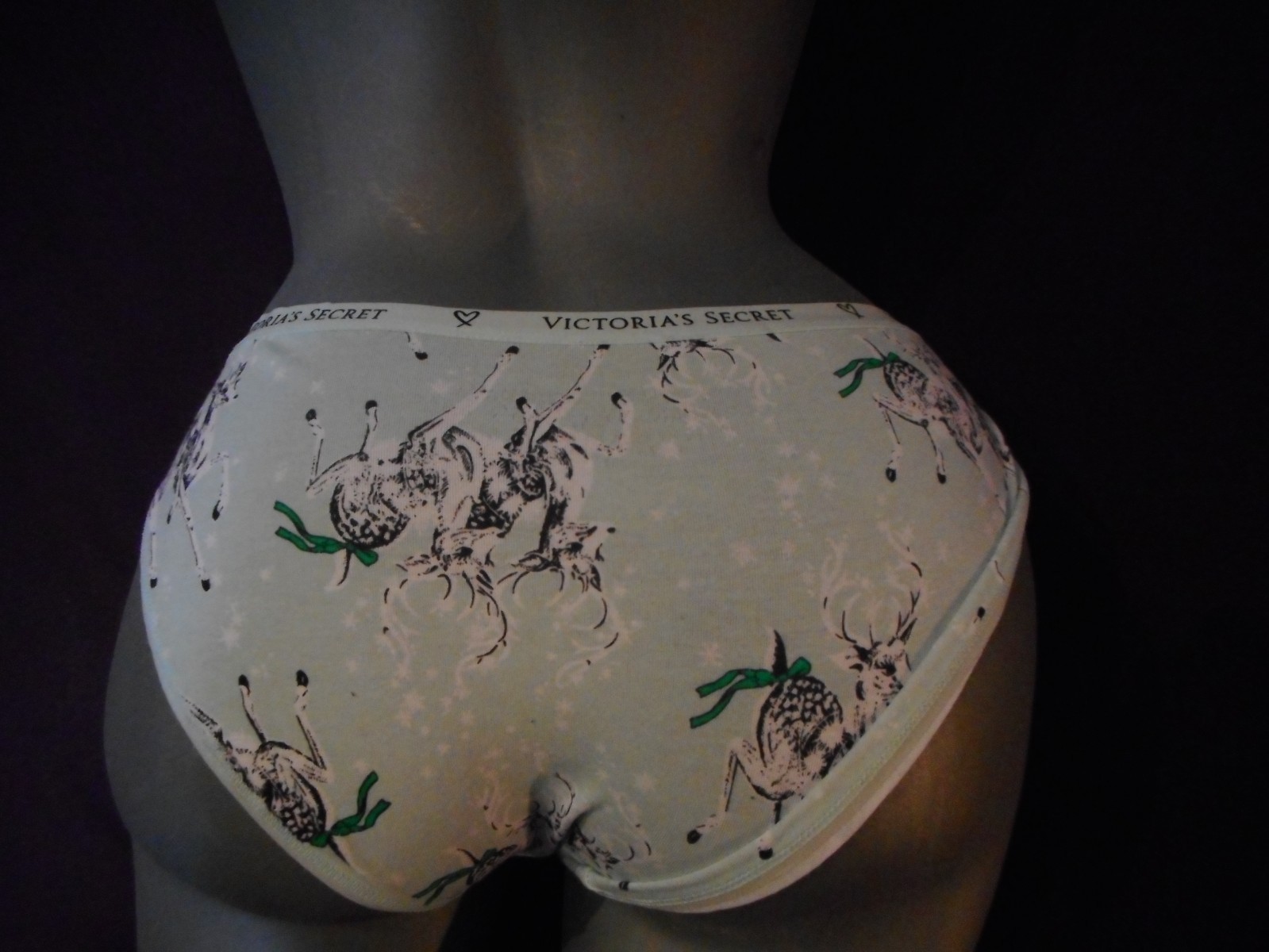 N/WO/T VICTORIA’S SECRET GREEN MULTI COLOR BIKINIS PANTY MEDIUM
