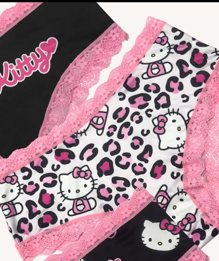 Sanrioom & Hello Kitty Collaboration Cute Cartoon Kawaii Pink Brief Panty L 3 pk