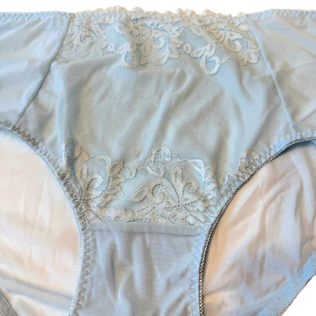 Splendies Blue Celina Lace Bikini Panties Size 4x Floral Lingerie Underwear New