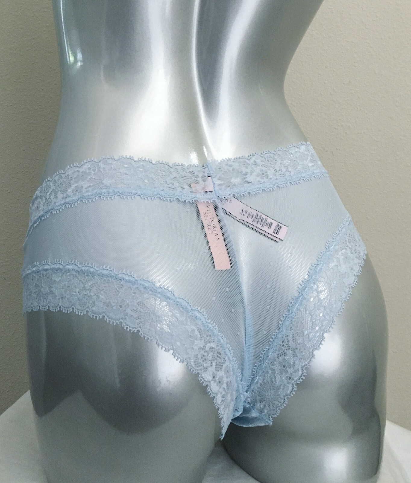 Nwt Victorias Secret The Lacie Floral Frenzy Cheeky Panty Light Blue XL