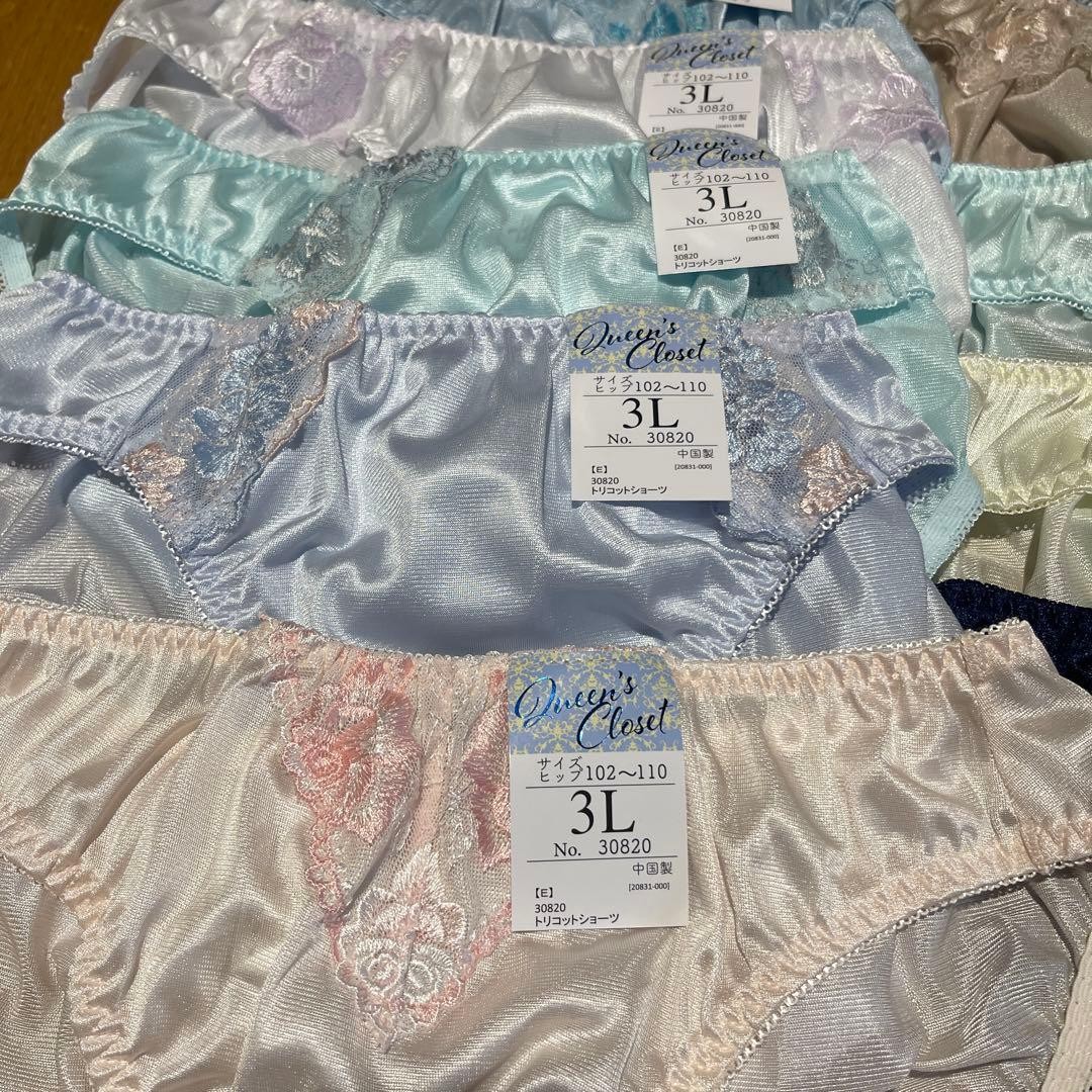 Japanese Glossy Nylon Panties Floral Lace Brief Set of 10 US size L-XL JP 3L