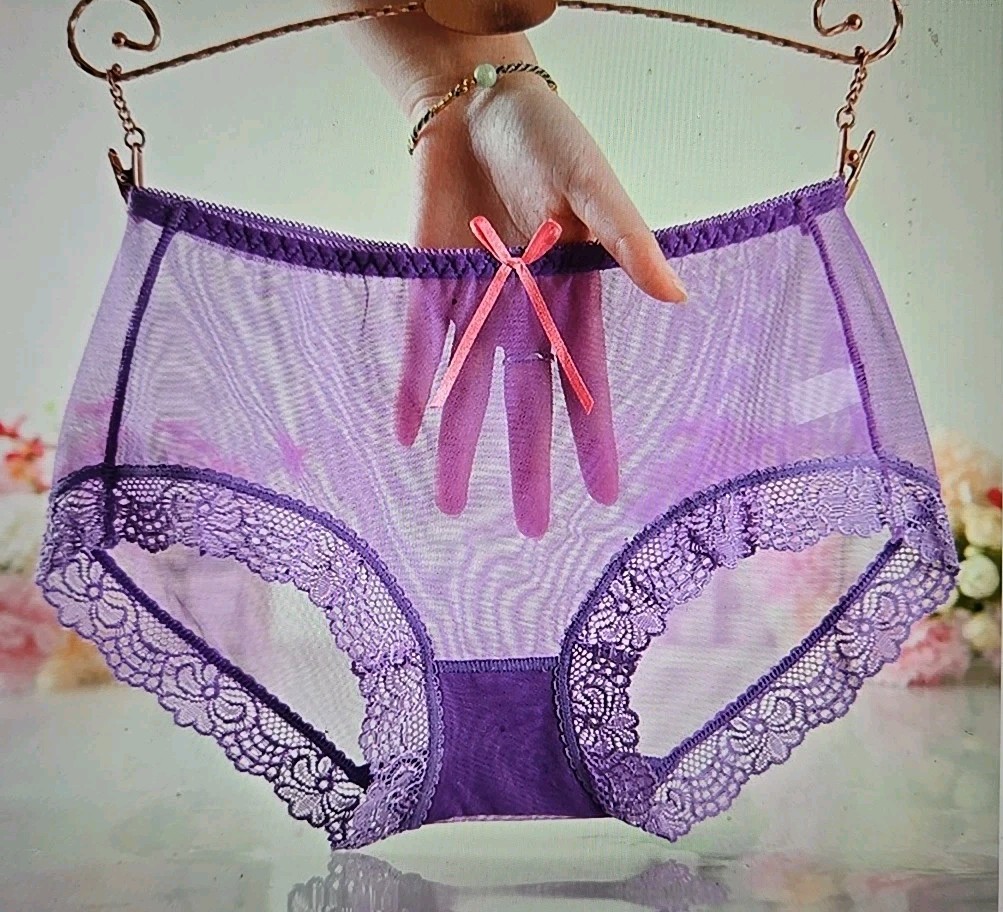 SeXy Sheer Brief Nwot Transparent Lace Panties US XL=Asia 3XL