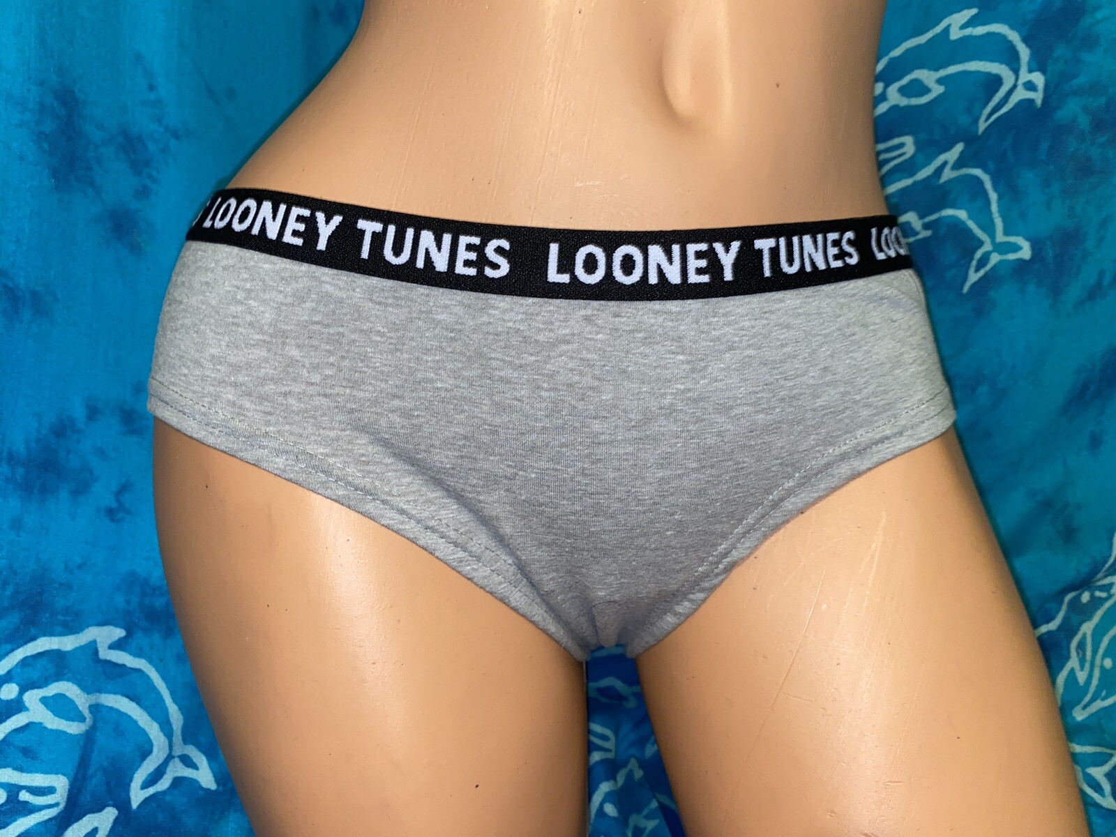 NWT. Looney Tunes Bugs Bunny Tweety Bird Taz Gray Cotton Hipster Panties XL