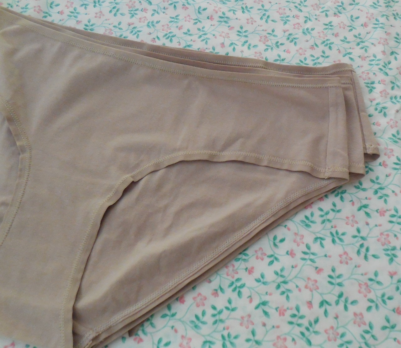 Organic Cotton Hipster Briefs With Spandex Quince Medium 3 Briefs