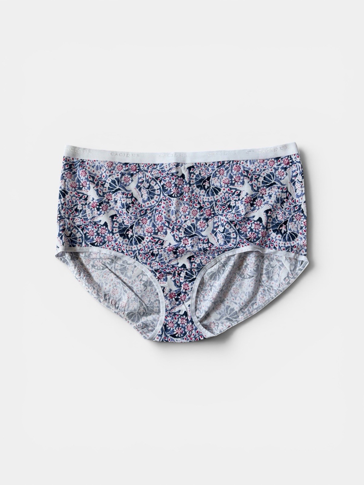Lane Bryant Cacique Cotton Full Brief Panty Hummingbird Floral 22/24