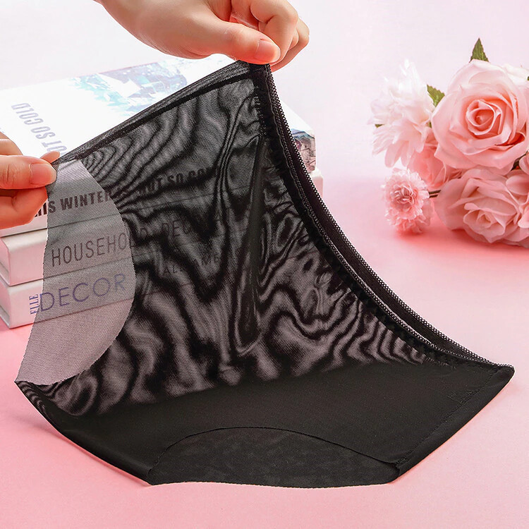 Vintage Style Sheer Transparent Nylon Panties Retro – Various colours
