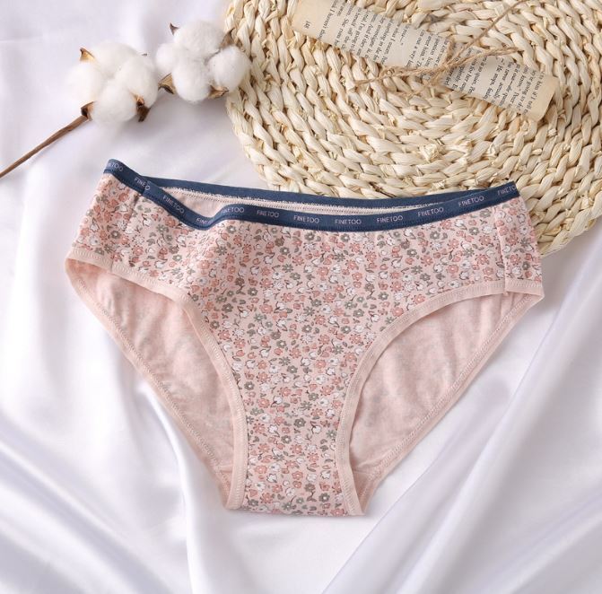 5 Pack Lot Ladies Womens Sexy Panties Underwear Brief Comfortable Lingeries Soft