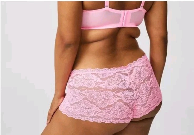 Torrid Mid Rise Cotton Candy Pink Lace Cheeky 2X