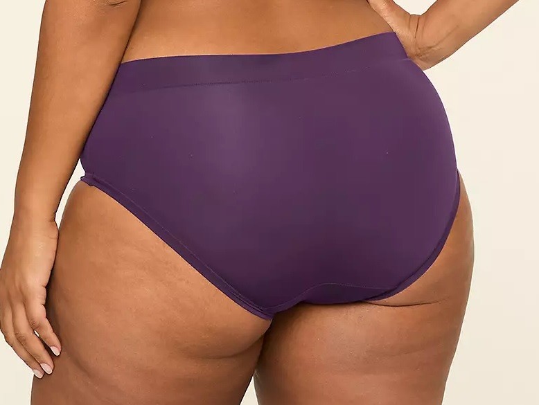 NWT – Lane Bryant Passion Purple Comfort Bliss Hipster Sz 18/20 Ret:$12.50