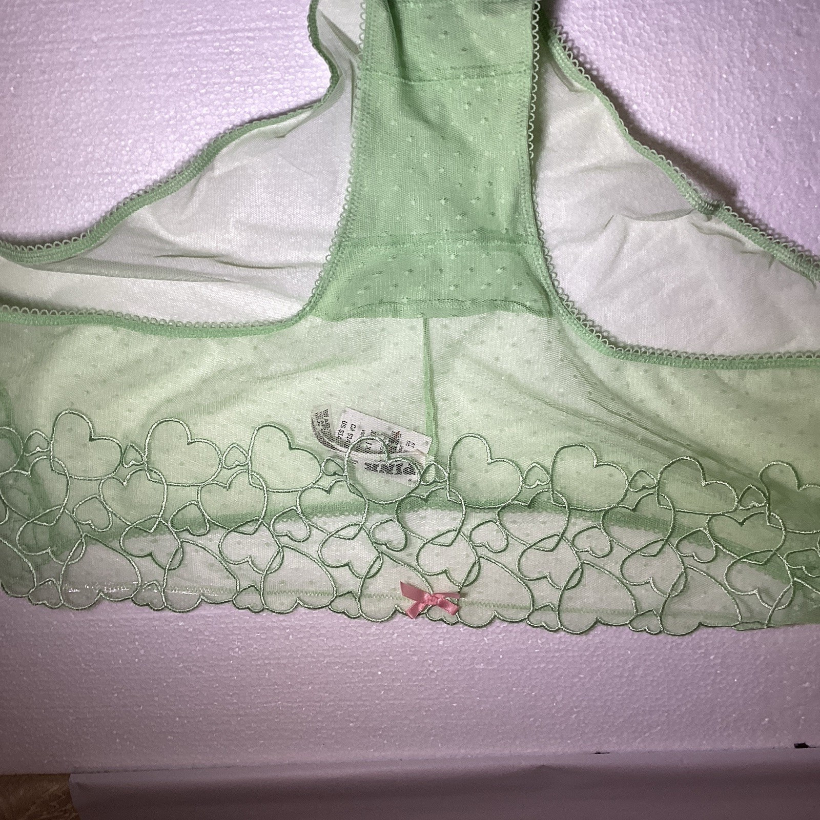 PINK Women’s Green Sheer Mesh Heart Pattern Hipster Panties, Size XXL