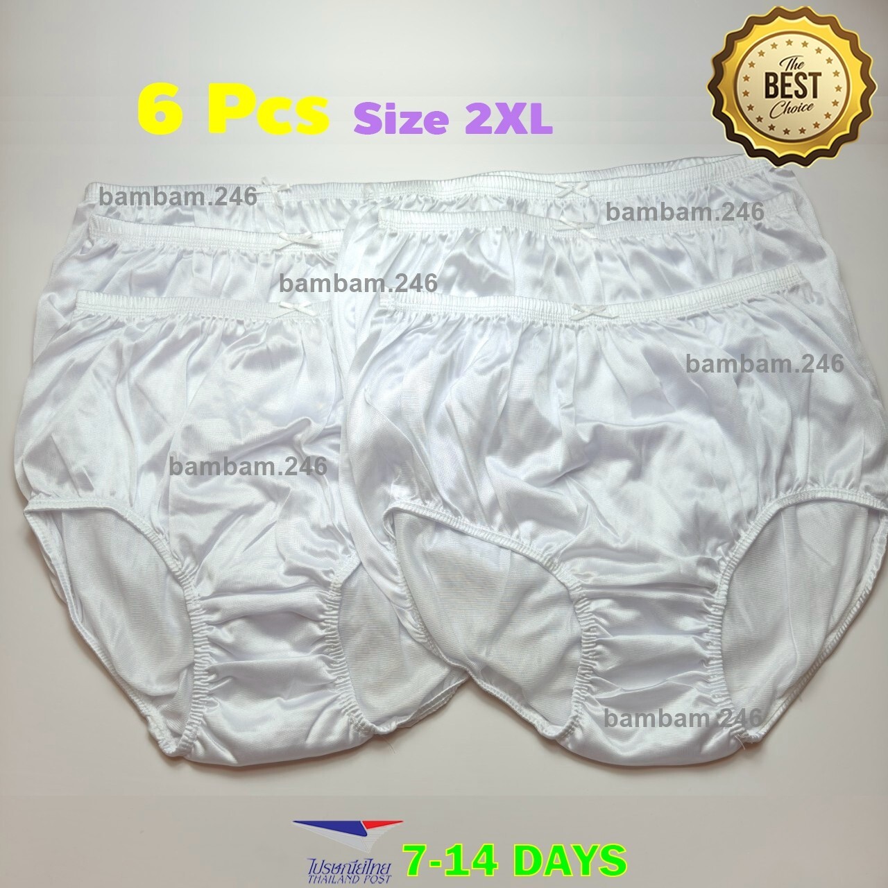 x6 Women’s Classic Underwear White Silky Nylon Panties Briefs High Waist Size 2X