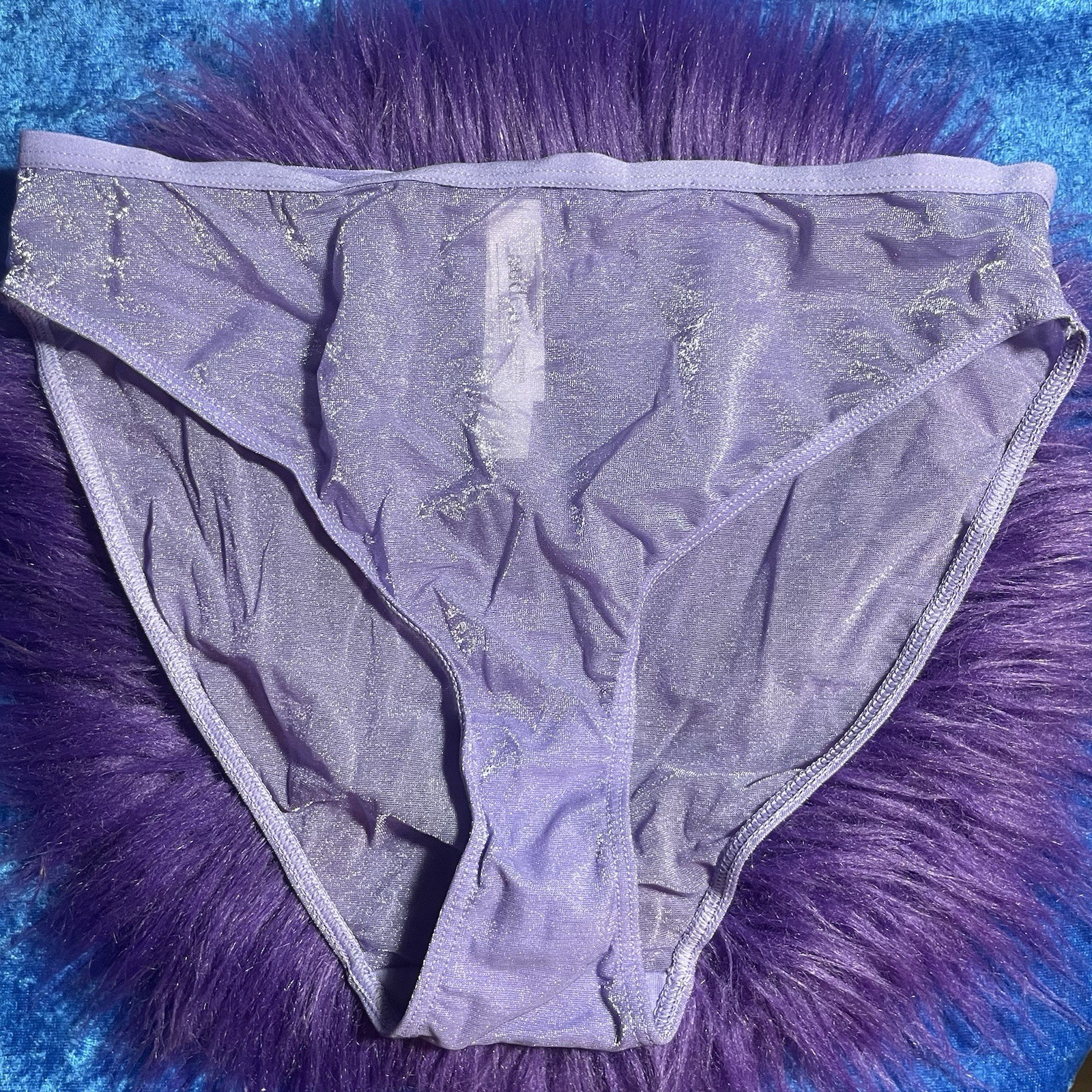 Shiny Purple Panties Shimmery Sparkle Sheer Panty Size Small