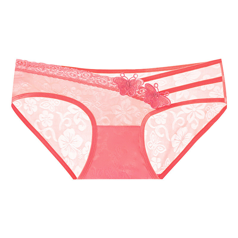 4PCS/LOT Sexy Womens See Through Sheer Panties Briefs Cheeky Underwear Lingeries