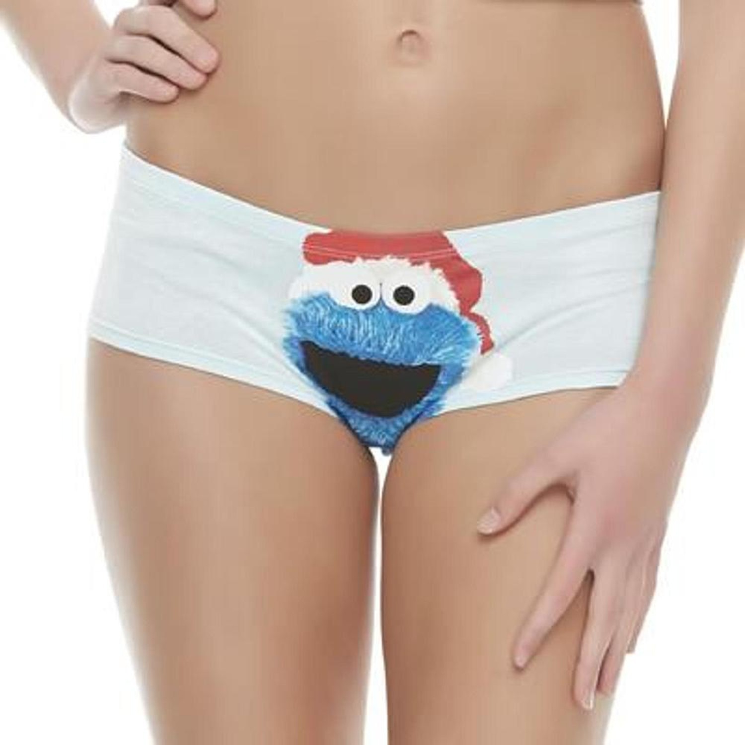 Sesame Street Cookie Monster Blue Holiday Hipster Panties Women’s M,L,XL #3373