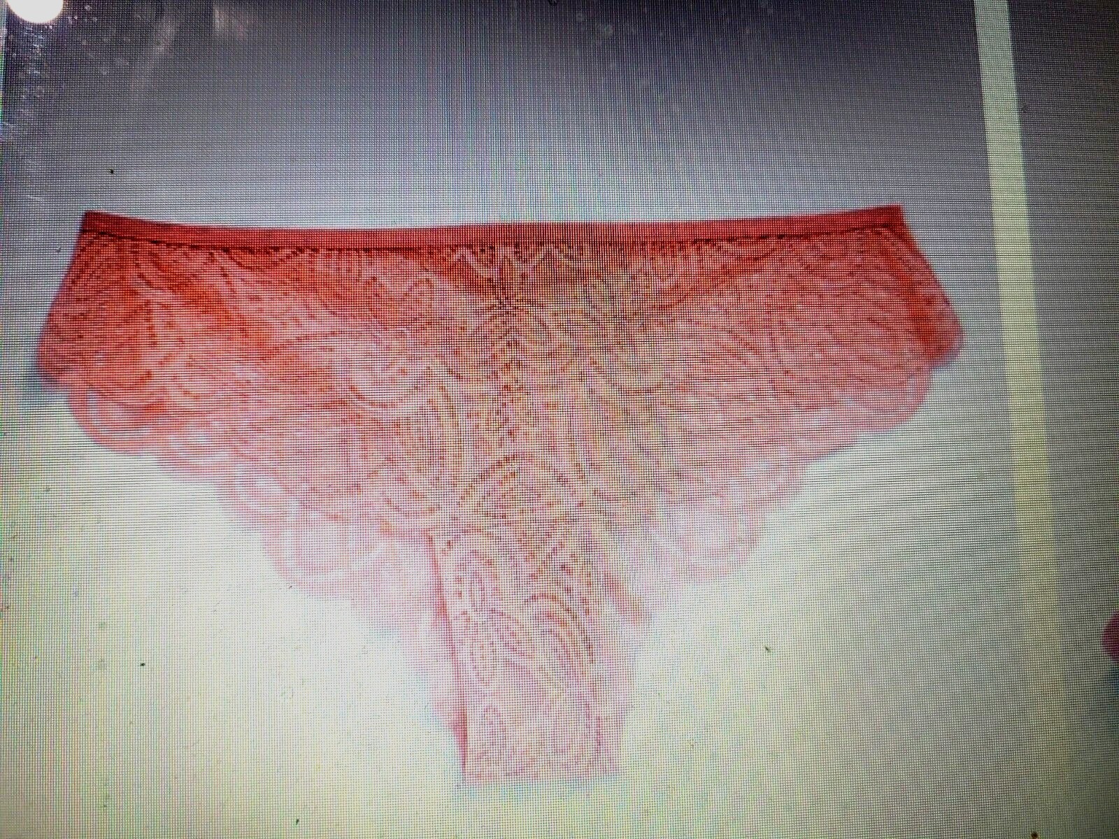 8/XL OLD NAVY SeXy Lace Pink Oyster Cheeky Thong Underwear Panties NWT