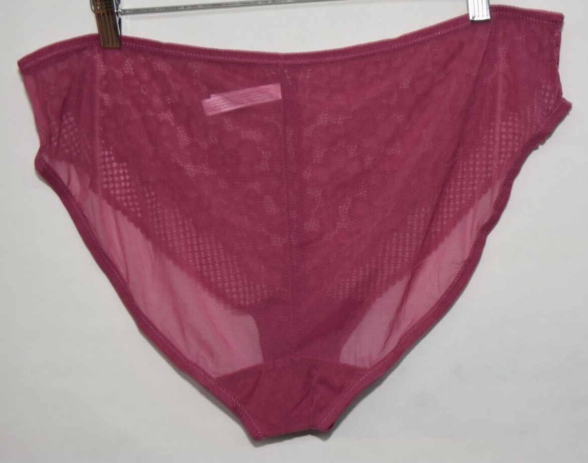Adorned Adore Me Sheer Mesh Back Lace Front Bikini Panty XXL 2X 2XL Rose Blush