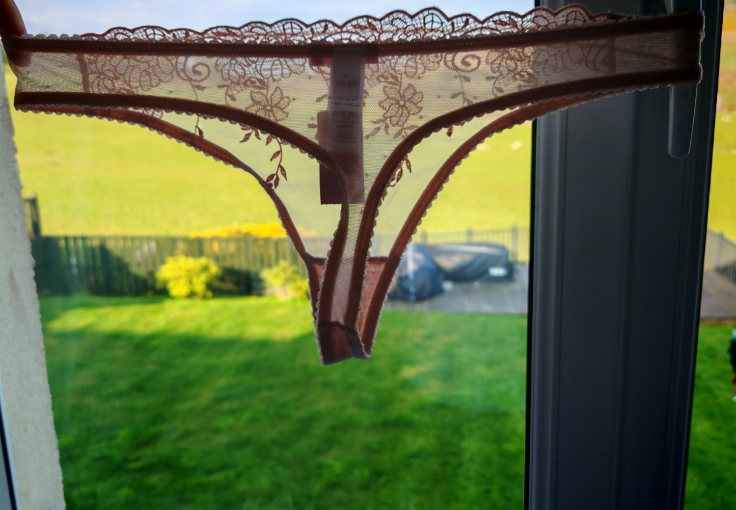 Next Intimates Nude Thong Size 14