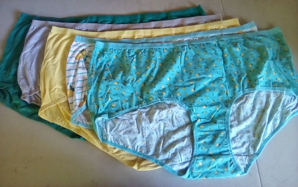 NWOT Assorted Comfort Choice 5 Pair Pack Brief Panties Size 15