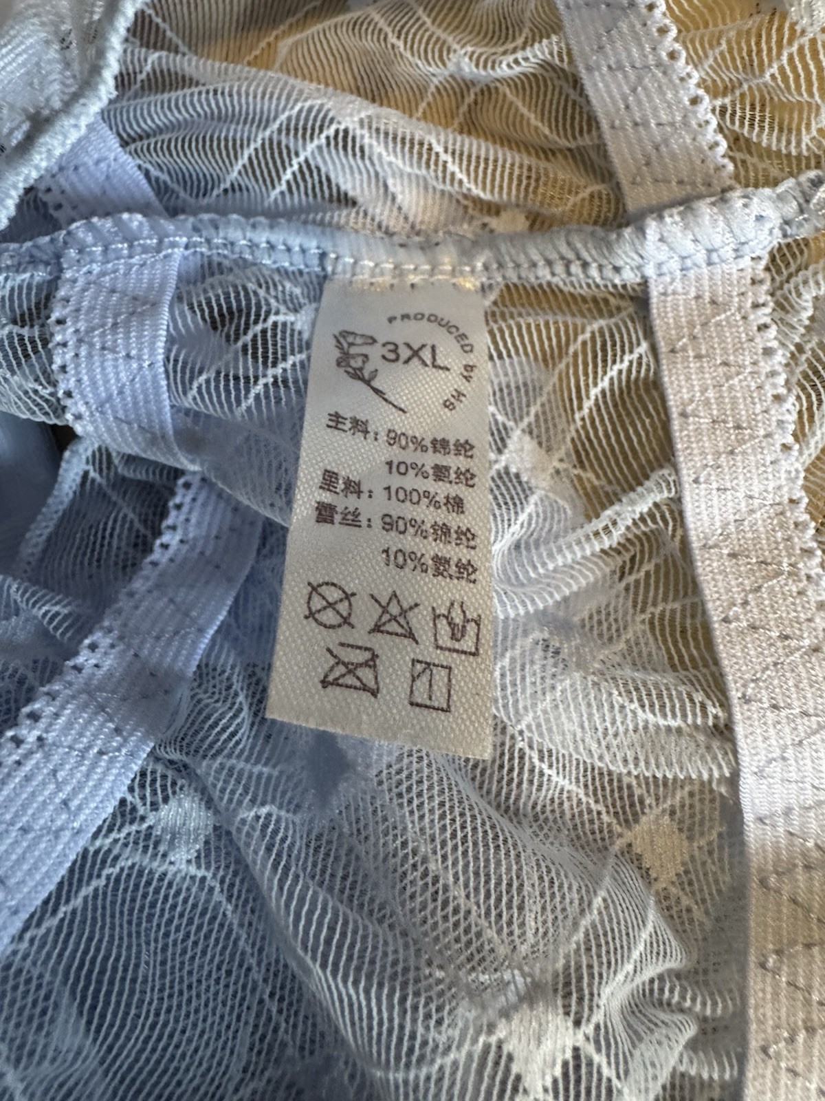 Sexy Women Sheer Lace Panties See Through Underwear Baby Blue Size 3XL new