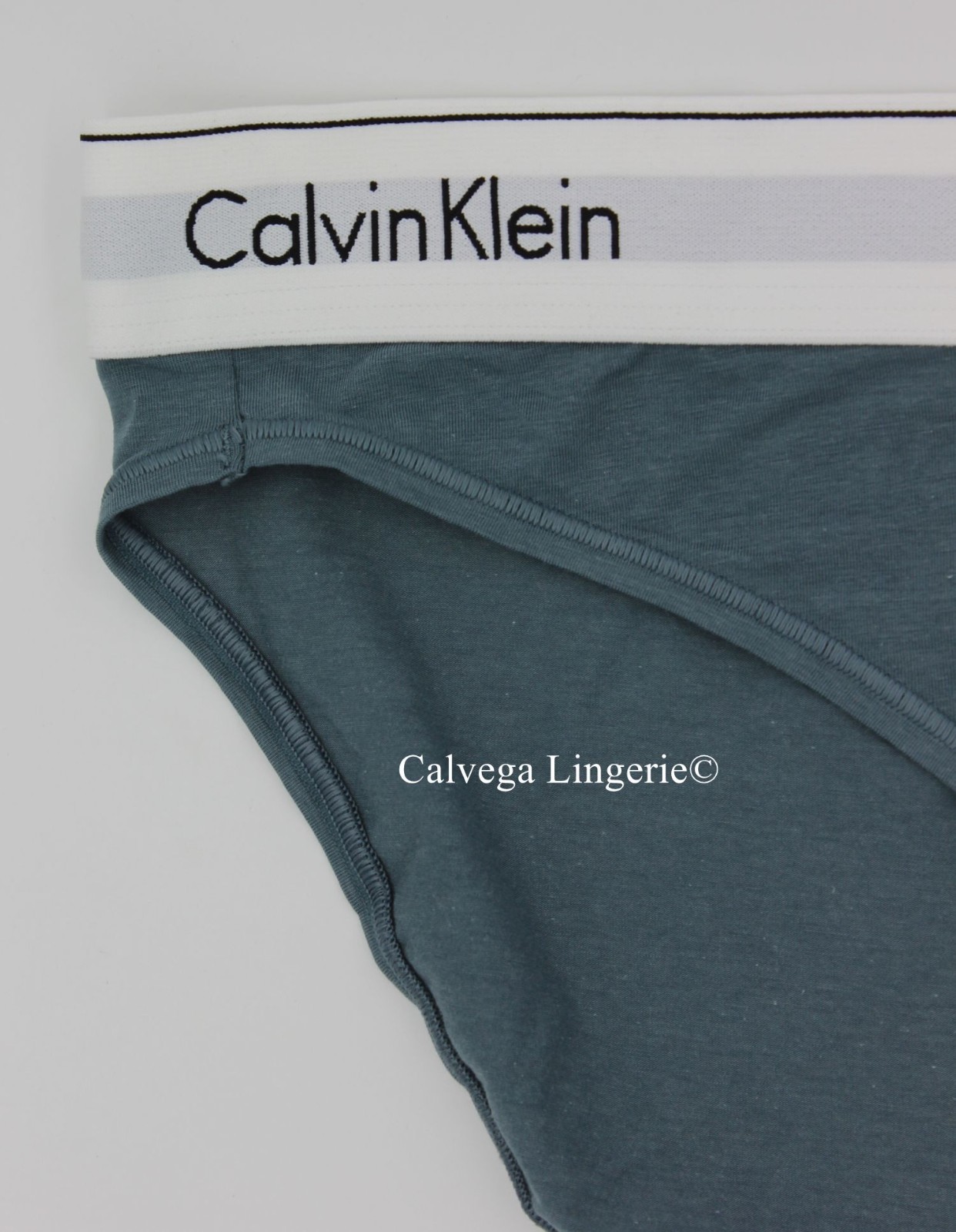 NWT Calvin Klein F3787 “Modern” Logo Cotton Bikini, Teal (030), XL