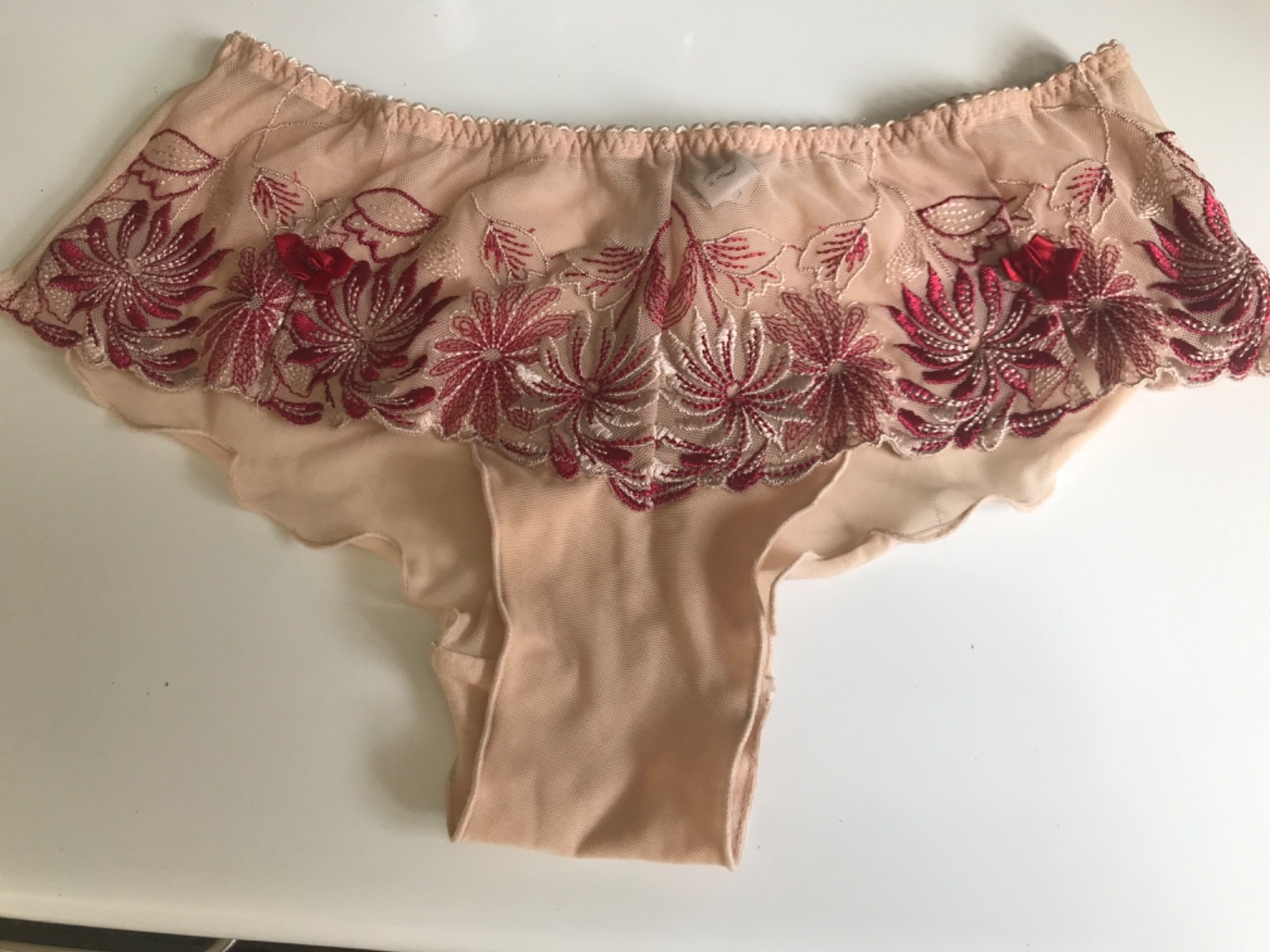 Pour moi lace almond brief mesh back red embroidery uk Size 10 lace new