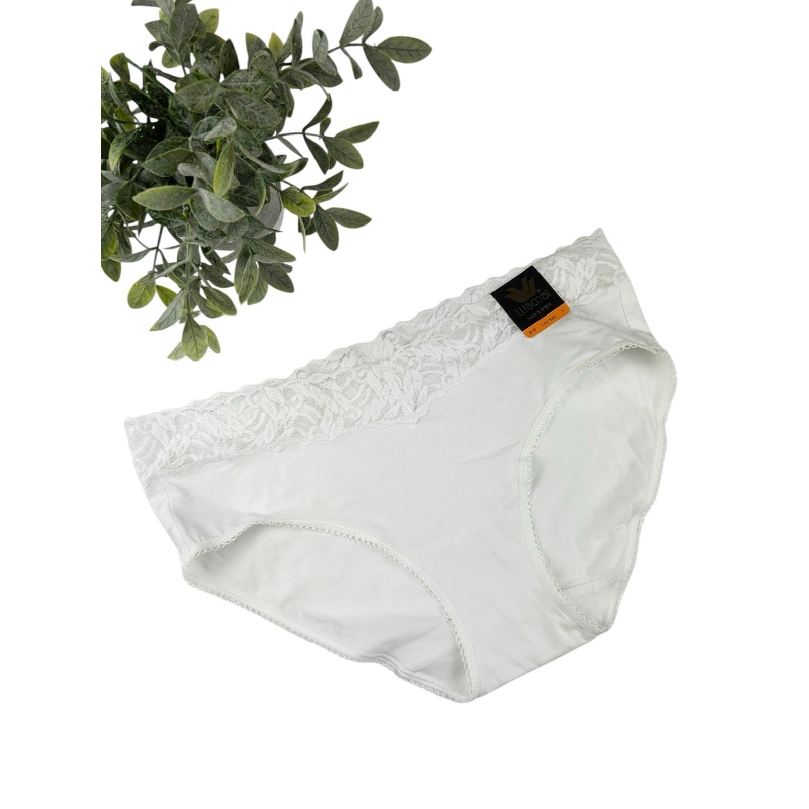 Wacoal White Lace Trim Cotton Hipster Women’s Size 7 / Large