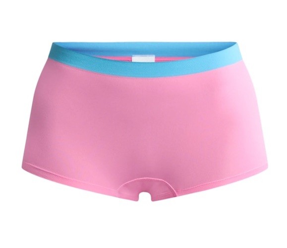 XL 3 Pack Seamless Boyshort Panties Size 16/18 Celebrate Summer Butterflies Cute