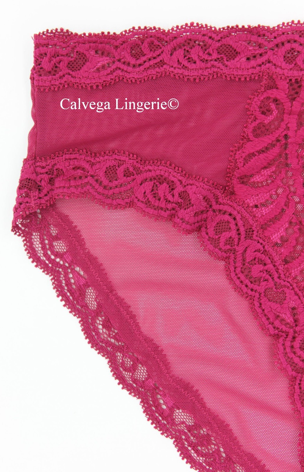 NWT NATORI 753023 “Feathers” Mesh w/Lace Hipster, Burgundy (“Crushed Velvet”)
