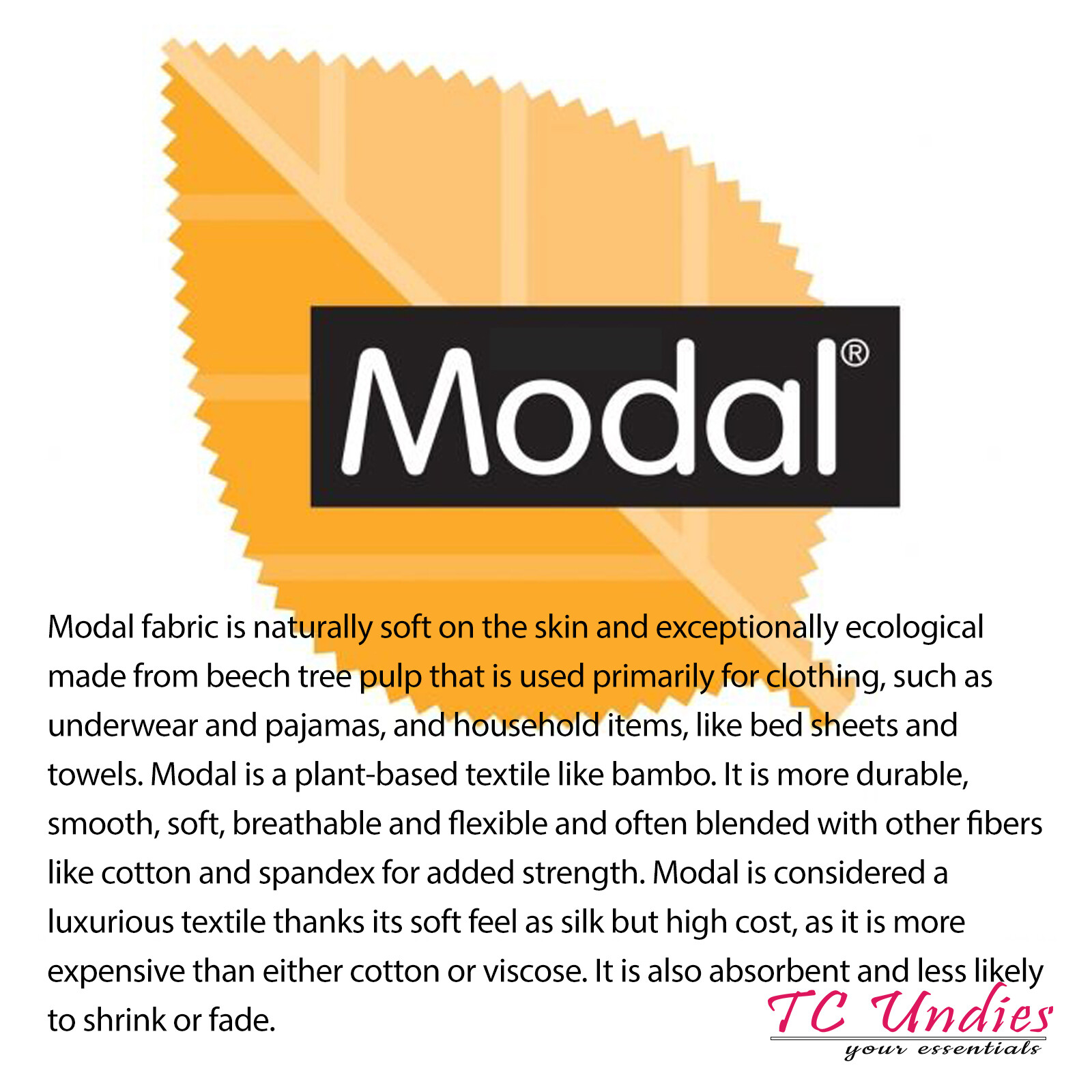 Pack 4 Women’s Modal Pants Elastic Waistband Bikini Briefs Plain Soft Fabric