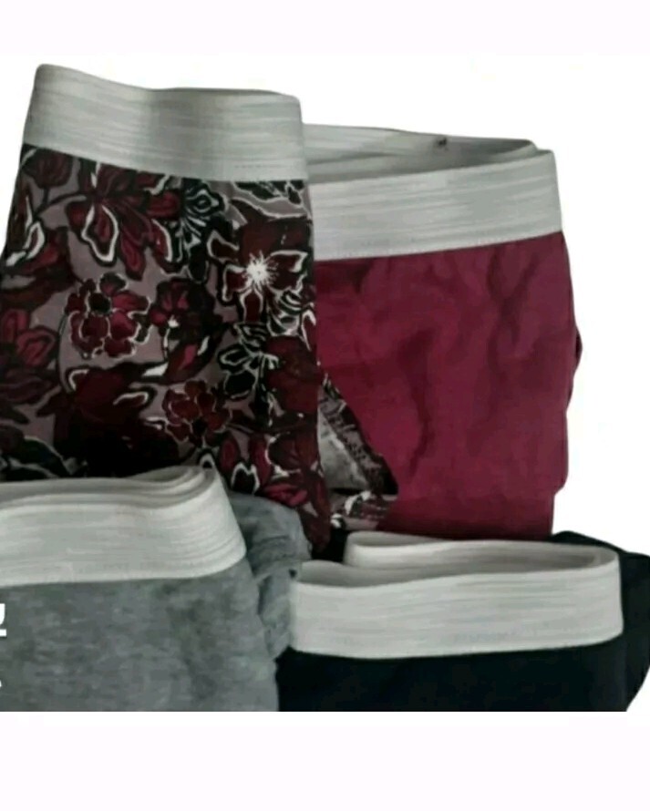 Womens Hanes 4 Pk Sz Xl Multi colored Brief Underwear Panties Nwtgs